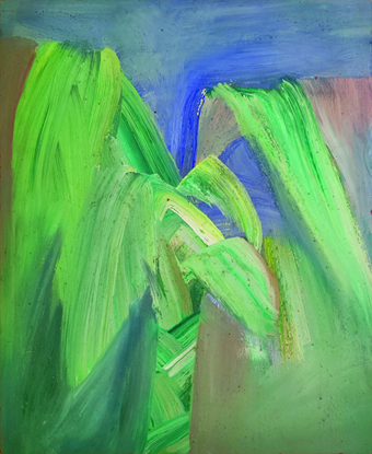 Dracaena plant